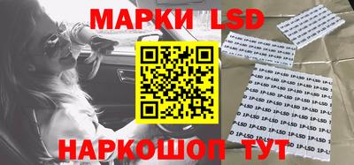 Альфа ПВП Владикавказ