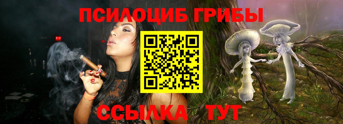 Бор  цены   Вход с VPN  Псилоцибиновые грибы Cubensis 