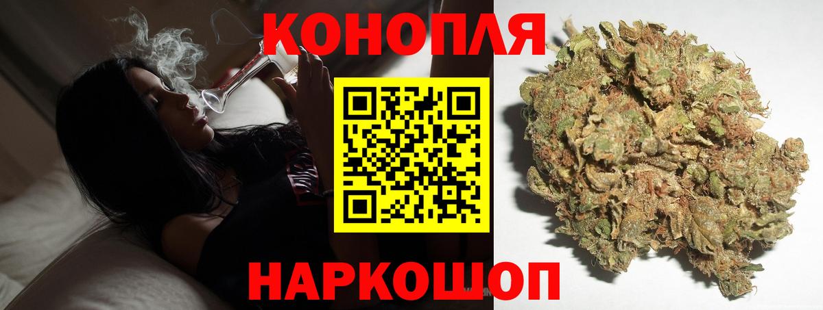 Бошки Шишки план Бор